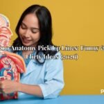 300 Anatomy Pick Up Lines: Funny & Flirty Ideas (2026)