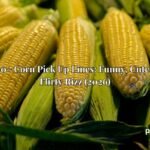300+ Corn Pick Up Lines: Funny, Cute & Flirty Rizz (2026)