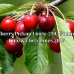 Cherry Pickup Lines: 350+ Funny, Cute & Flirty Lines 2026